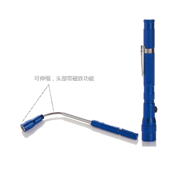 胎壓器和伸縮燈十减，汽車專用工具組套