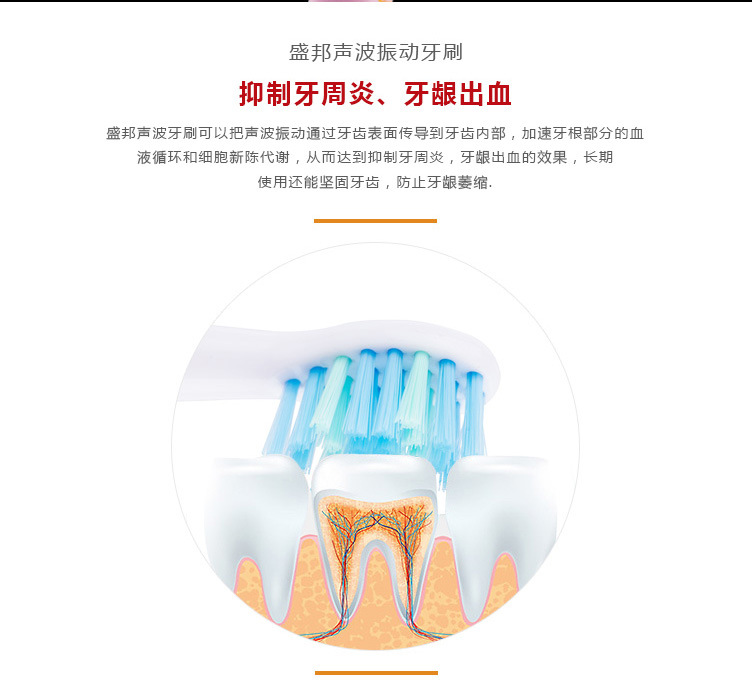 電動(dòng)式聲波牙刷 自動(dòng)便攜充電牙刷 