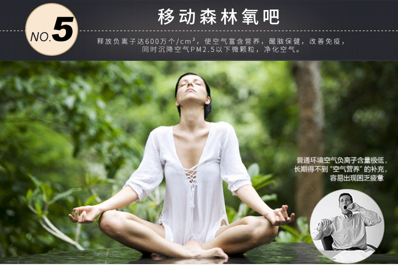安德邁車(chē)載空氣凈化器負(fù)離子殺菌香薰凈化除異味車(chē)內(nèi)使用
