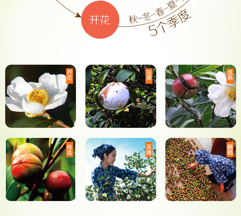 本草天香山茶油1.45L*2禮盒