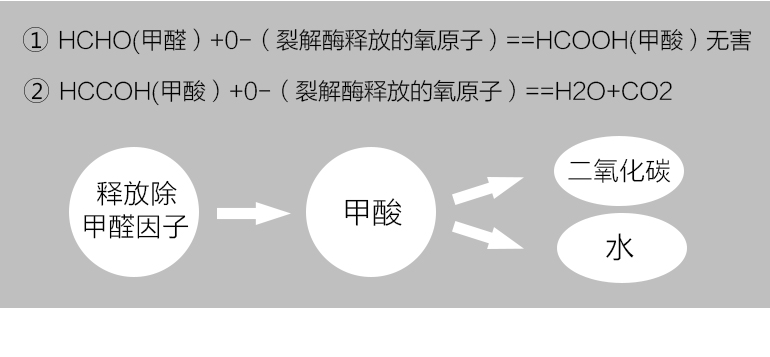 蓋銳甲醛魔方去除甲醛新房異味強力家用型清除劑裝修除味專利產品