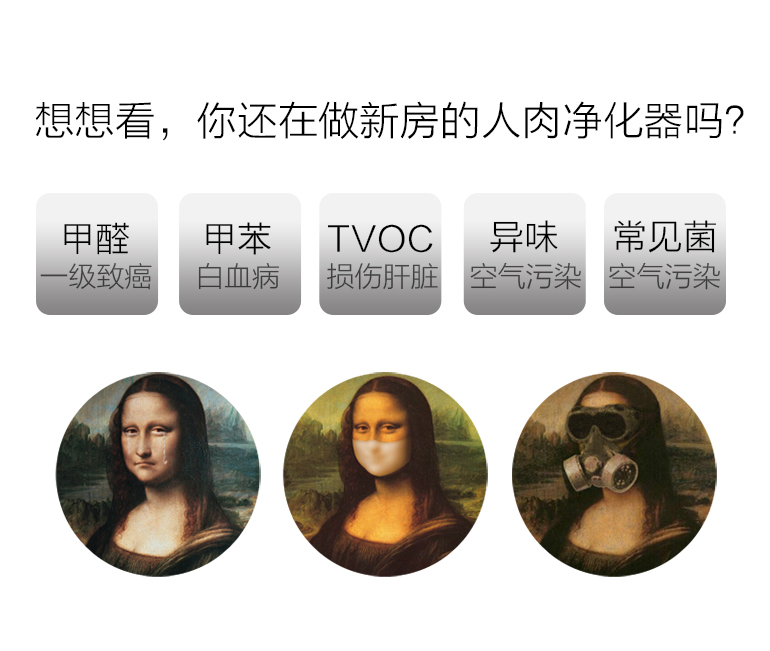 蓋銳甲醛魔方去除甲醛新房異味強力家用型清除劑裝修除味專利產品