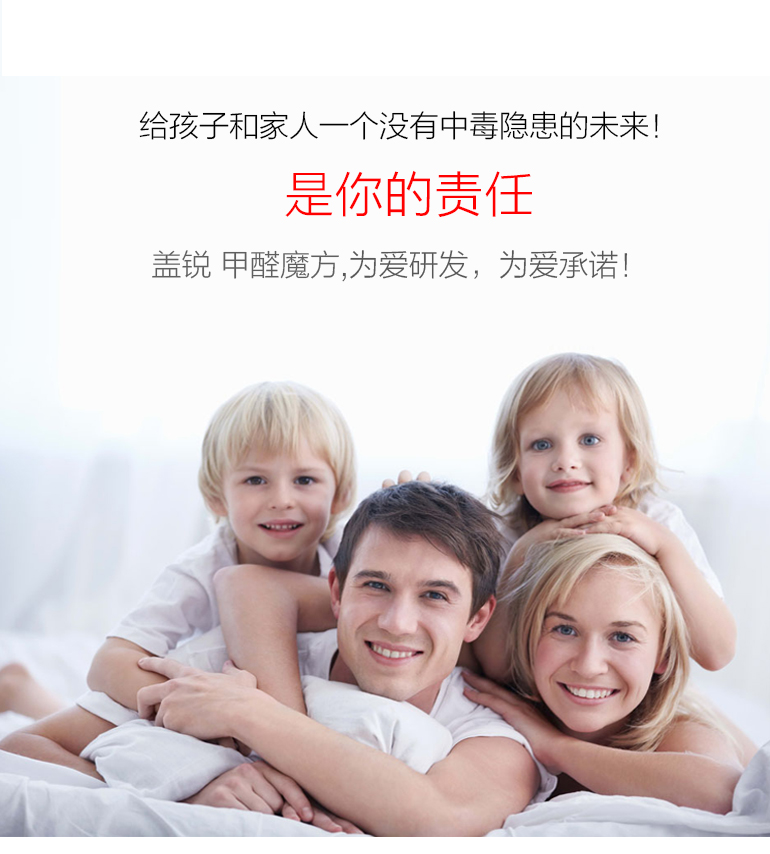 蓋銳甲醛魔方去除甲醛新房異味強力家用型清除劑裝修除味專利產品