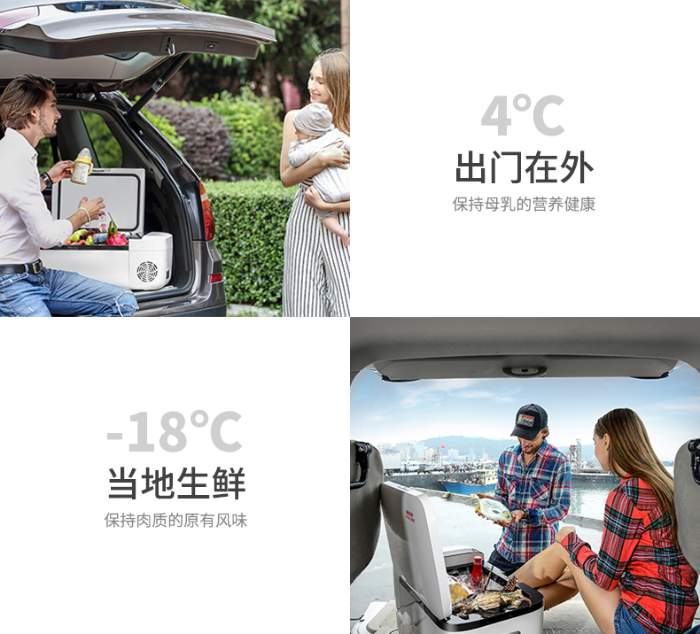 英得爾車載冰箱制冷壓縮機冷藏冷凍車家兩用家用迷你小冰箱T12S