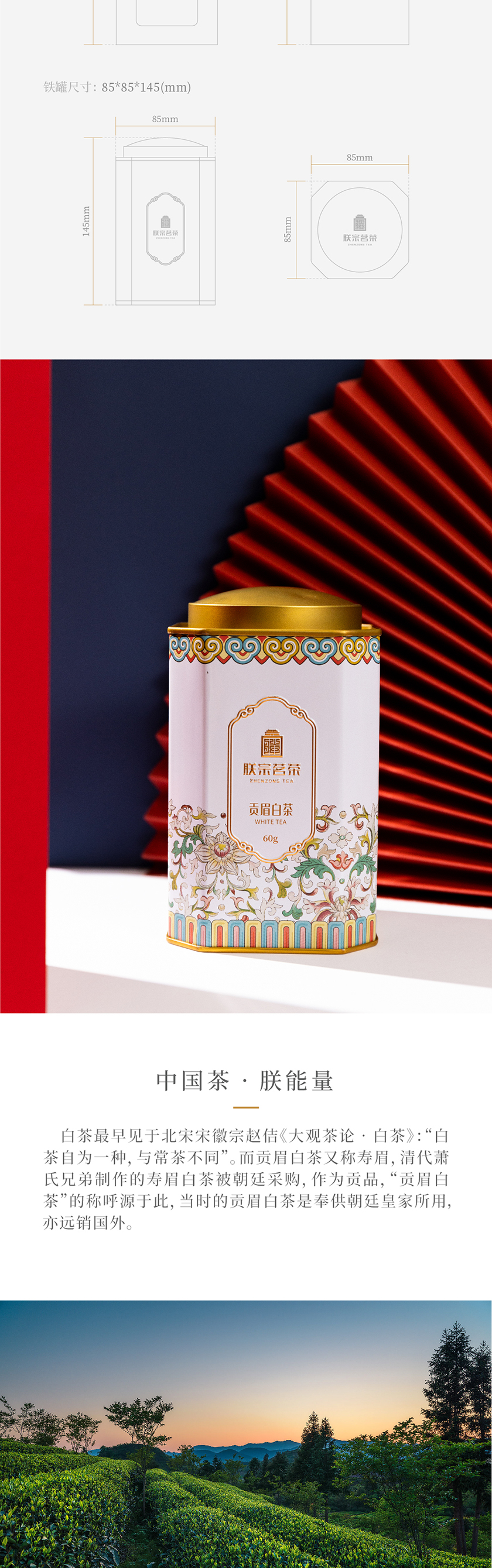 朕宗茗茶 貢眉白茶